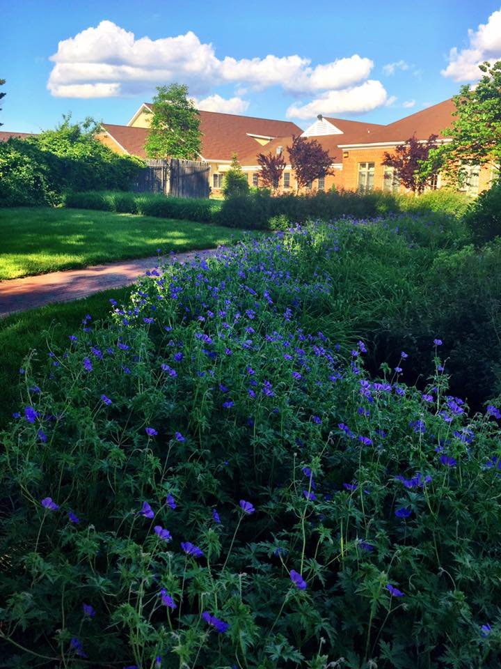 18814220_1194102177368672_5975755562448124521_n-1920w