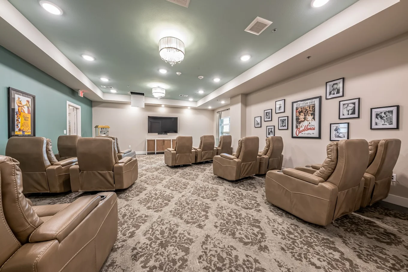 14 Buda Oaks Media Room