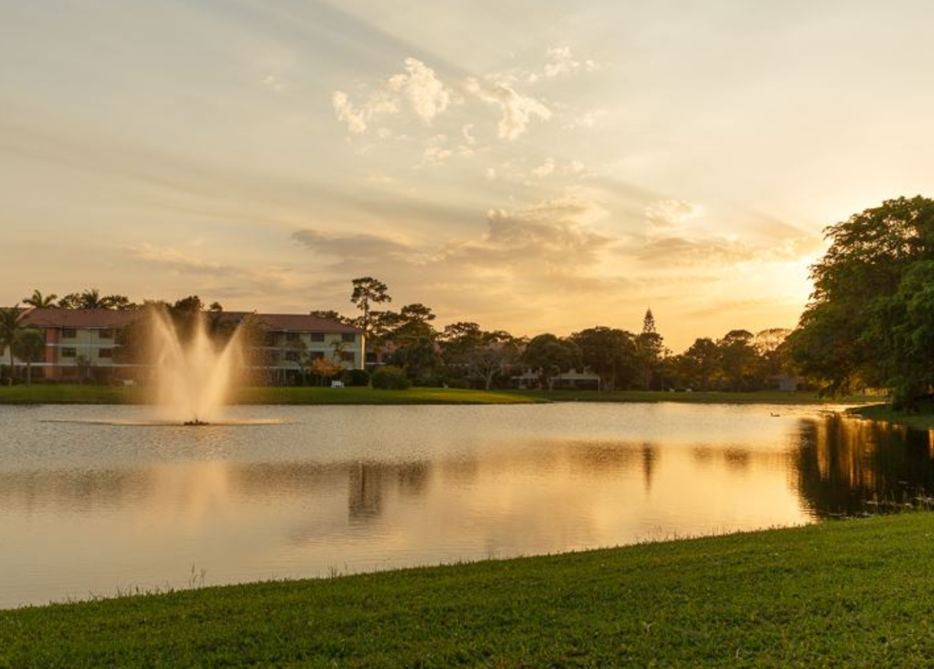 Screen Shot 2018-04-05 at 8.48.34 PM (1)