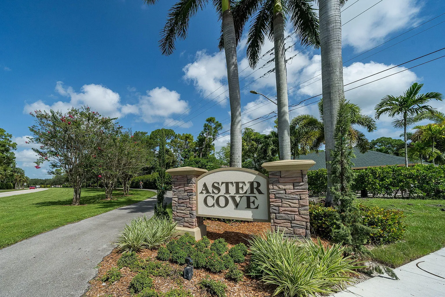 cbd2460d95cbd9259cb6260562b29aa3-uncropped_scaled_within_1536_1152