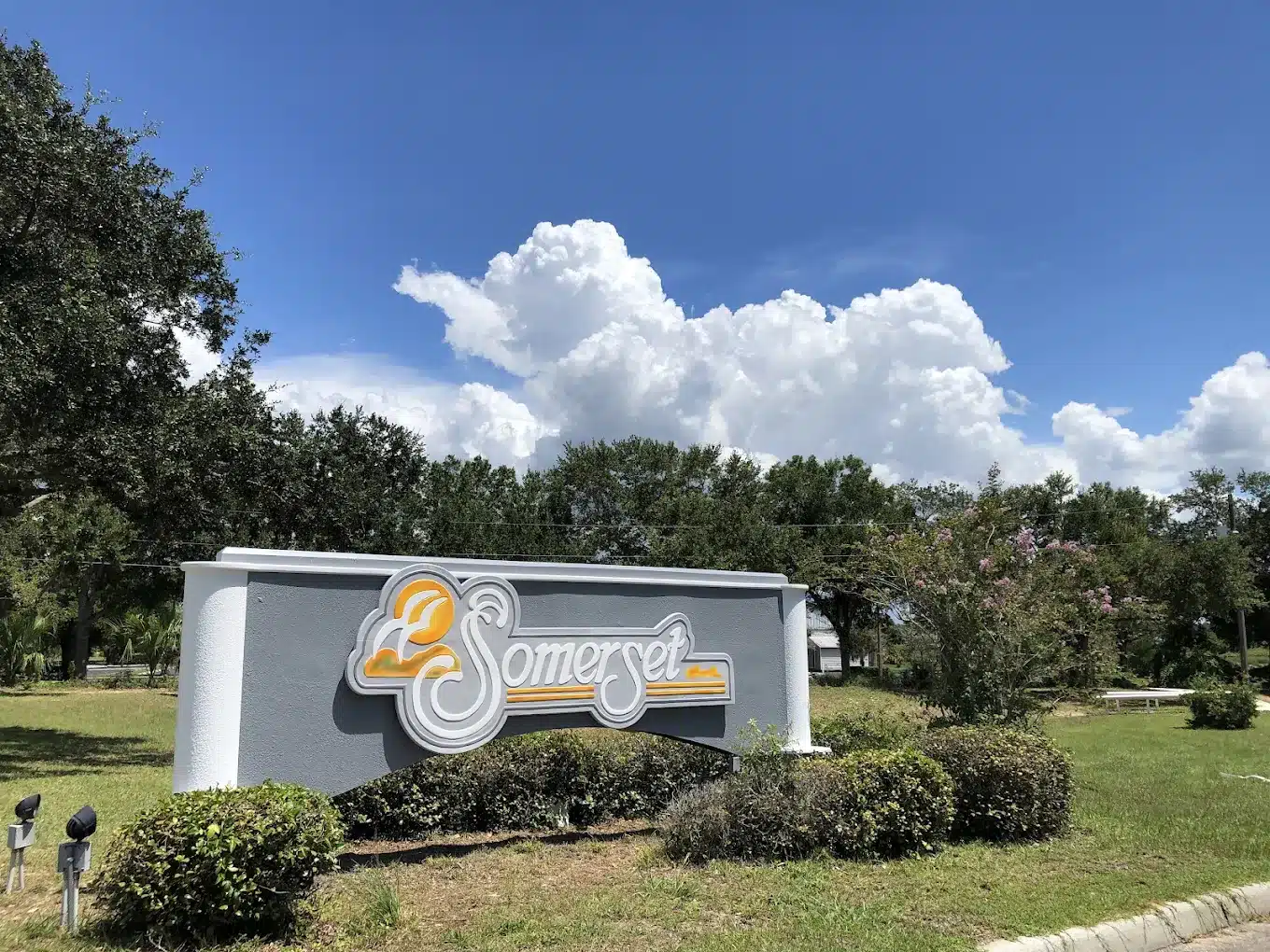 8BCBEE0B-9772-4A0E-9D6C-11BF8557E9A3