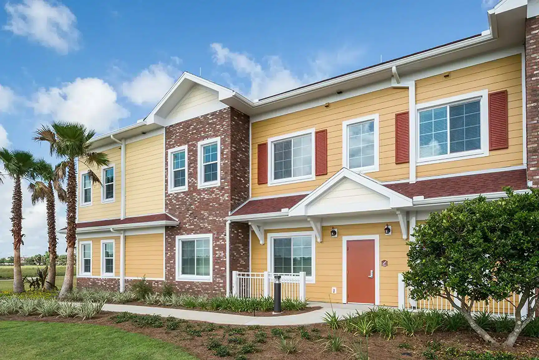 buffalo-crossing-back-view