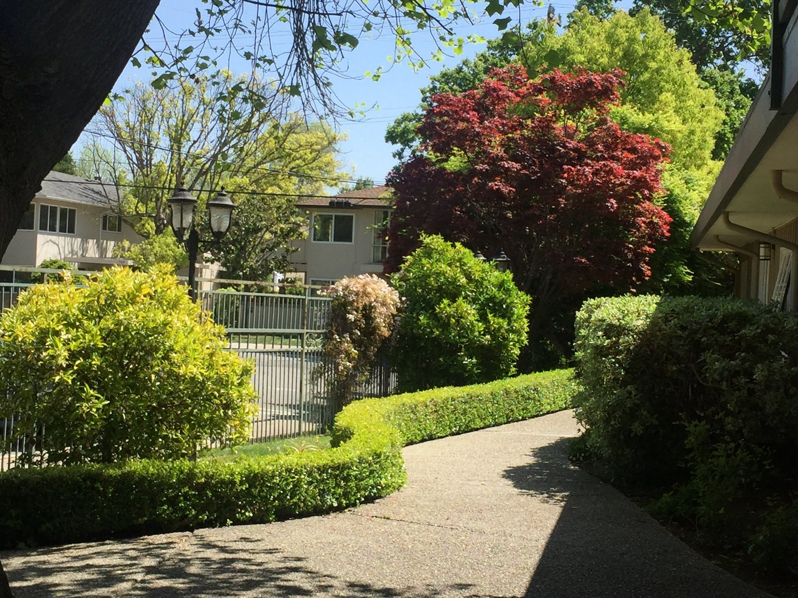 480675662_8693245777441478_4180180910649068270_n