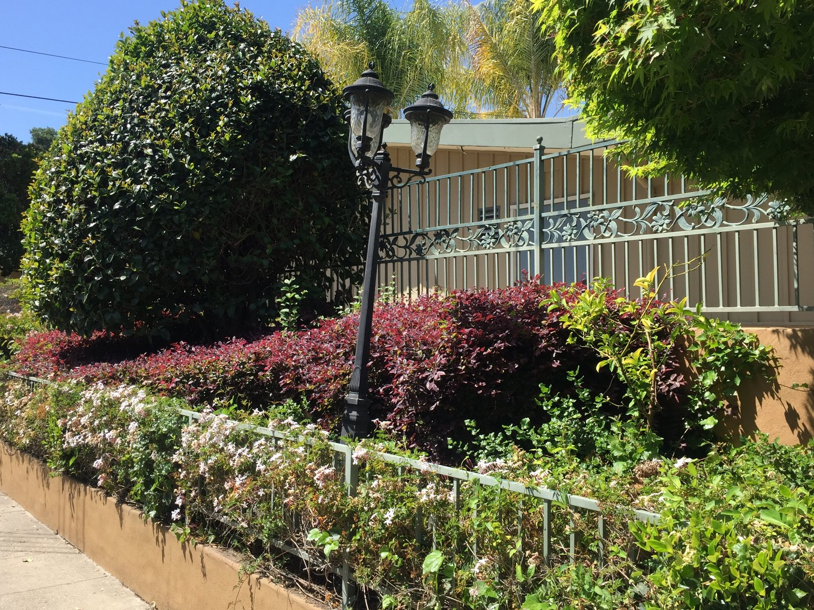 480814348_8693245300774859_8126021847699126167_n