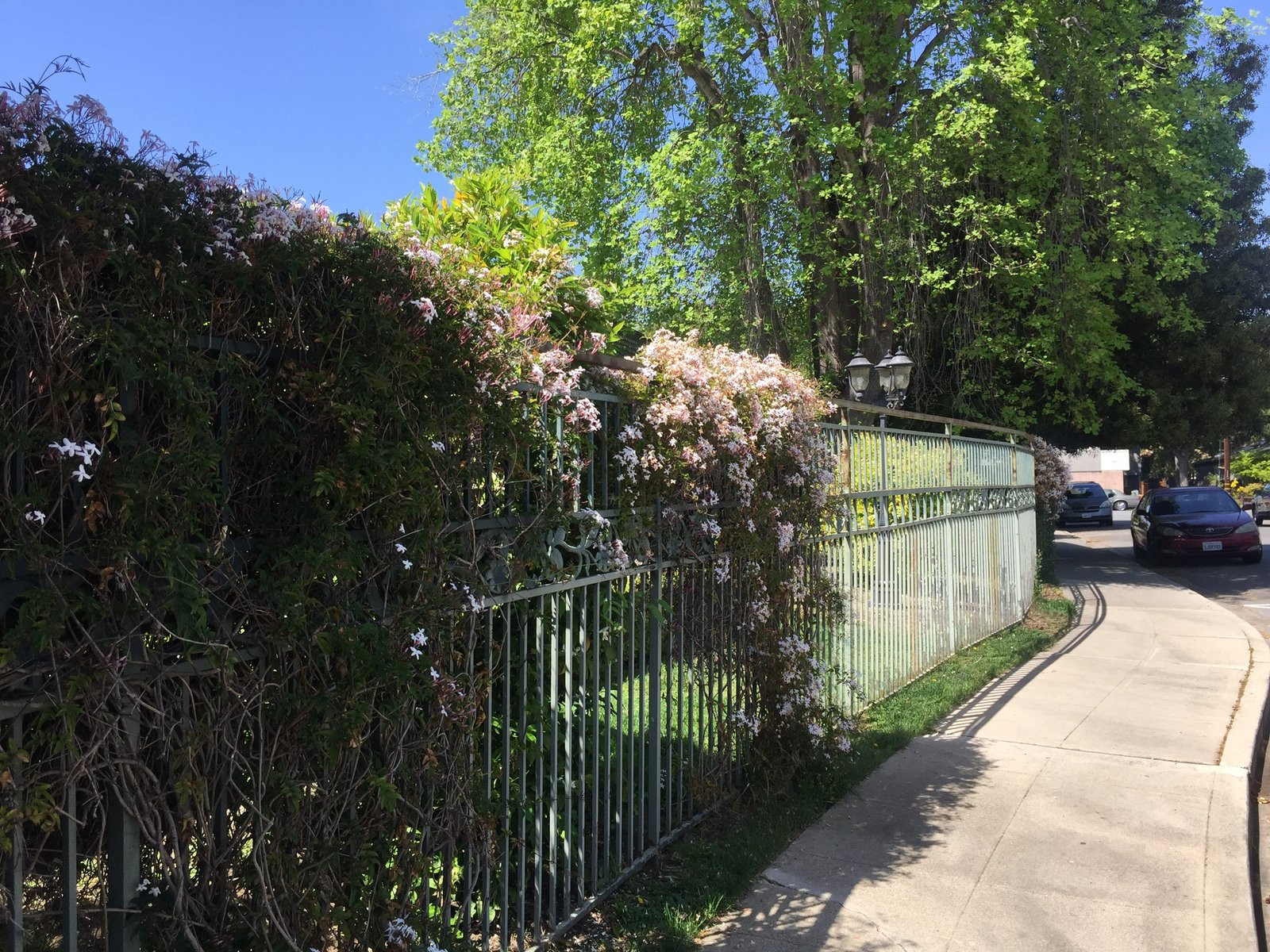 480862431_8693245550774834_5240267652802153708_n