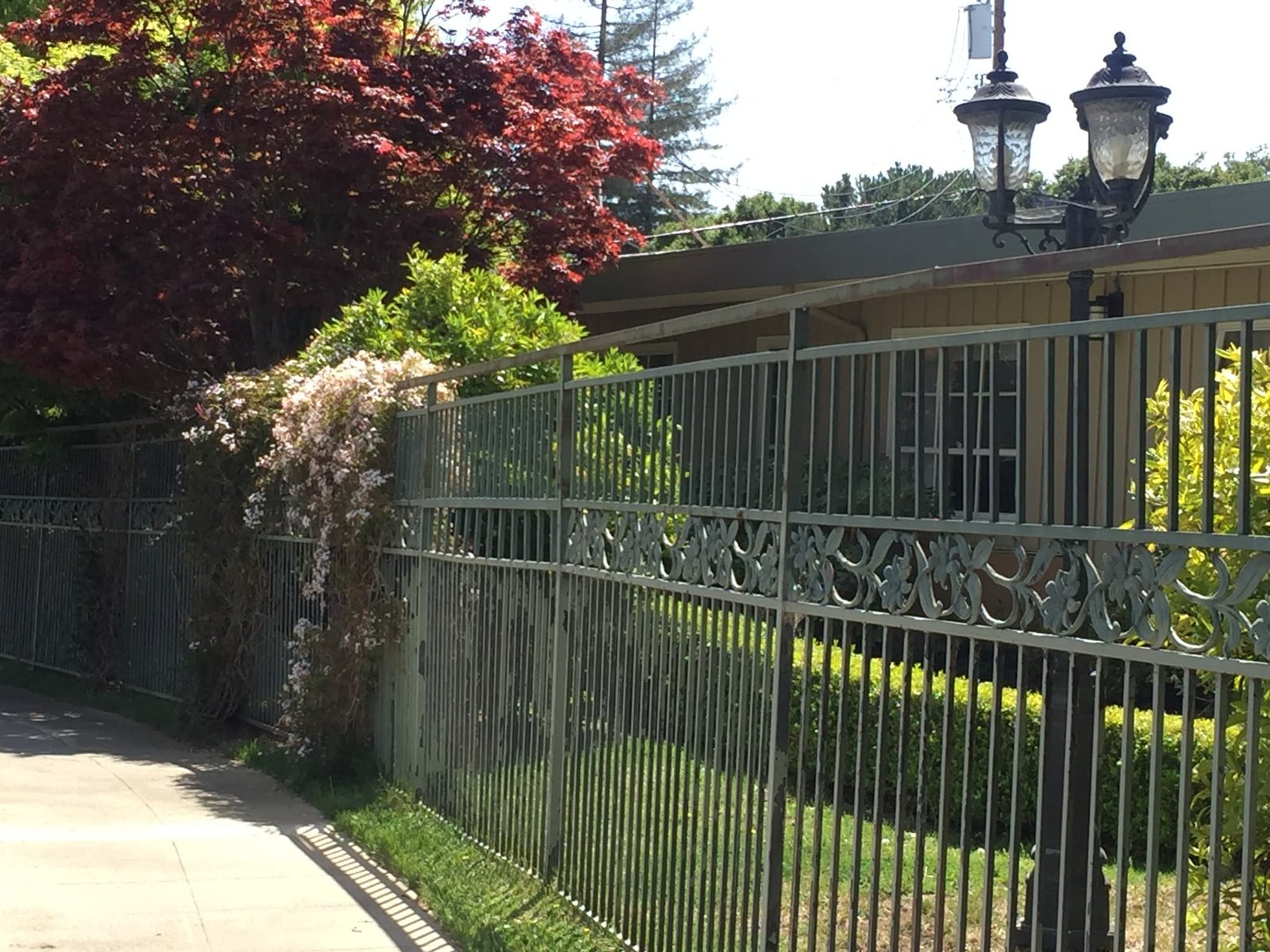 482223748_8693245784108144_7057934162551723554_n