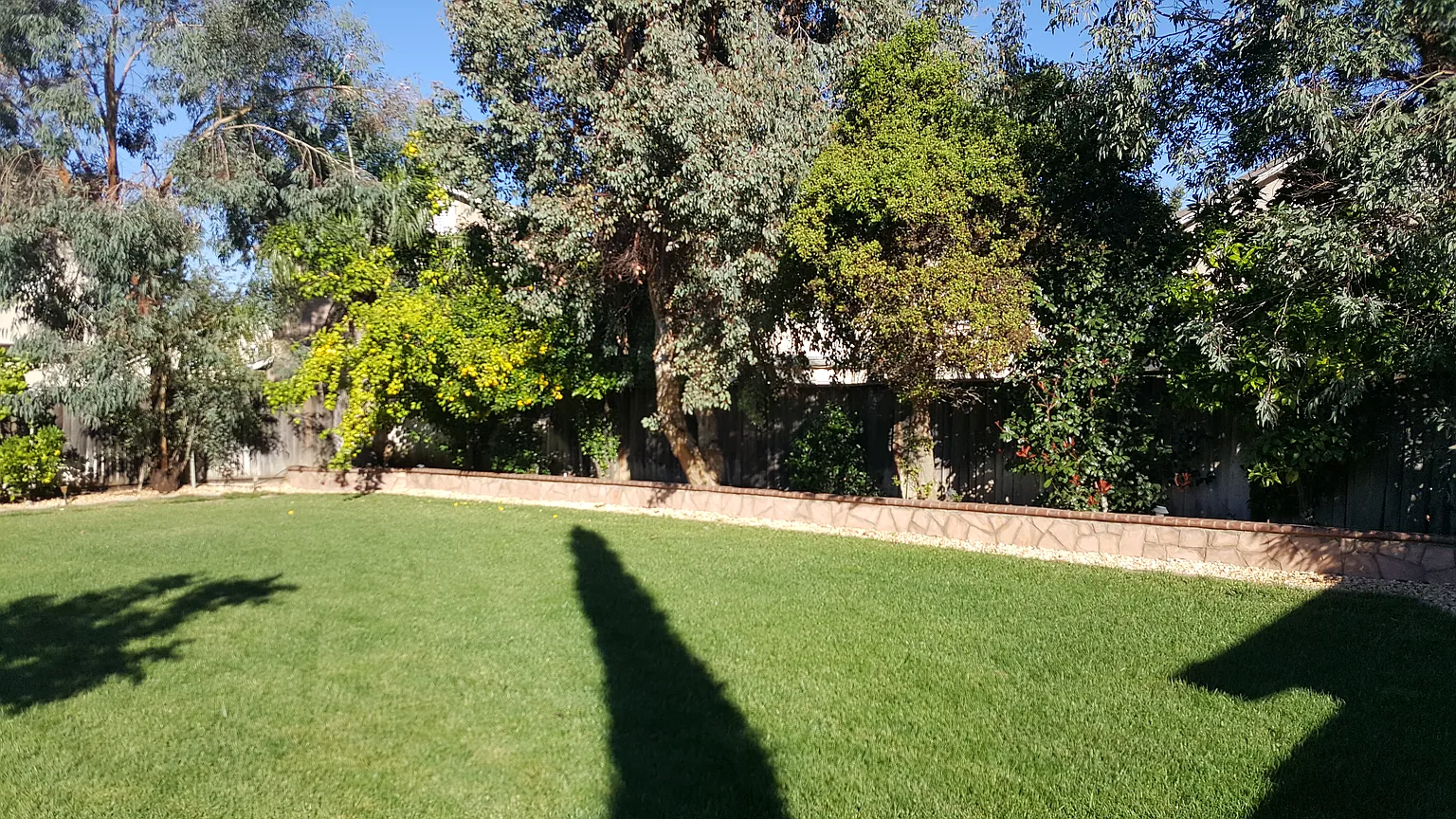 484c8fb72787d16e5f48e81e974f22b7-uncropped_scaled_within_1536_1152