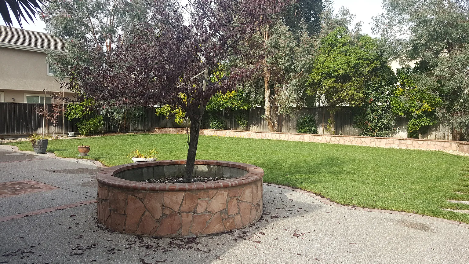 4f0ec1cfb5e14ec0fb094d07a5875f75-uncropped_scaled_within_1536_1152 (1)