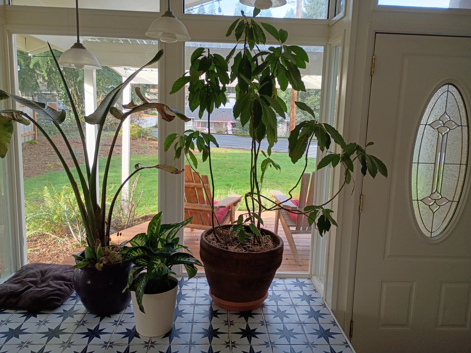 IMG_20251226_113946233_HDR (1)