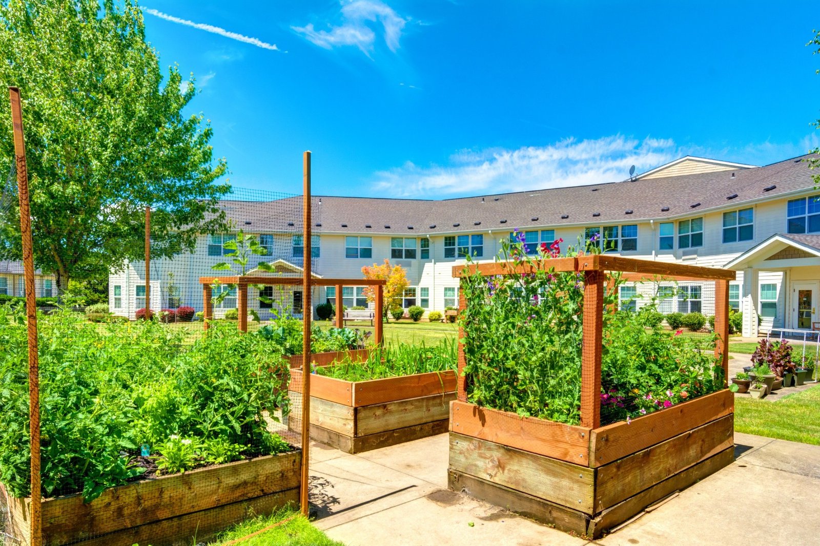 Vineyard-Heights-17